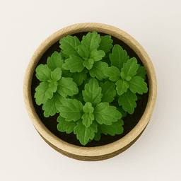 Handwoven Raffia Plant Pots – Natural & Sustainable Planters in Beige & Natural Brown thumbnail 3