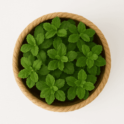 Handwoven Raffia Plant Pots – Natural & Sustainable Planters in Classic Beige thumbnail 3