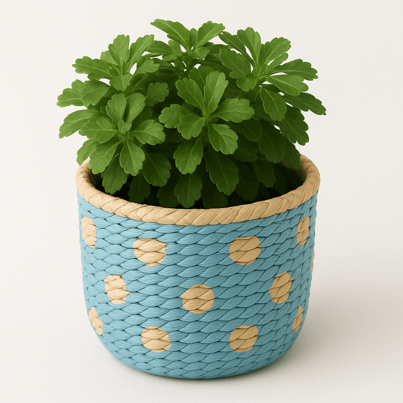 Handwoven Raffia Plant Pots – Natural & Sustainable Planters in Light Blue