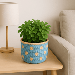 Handwoven Raffia Plant Pots – Natural & Sustainable Planters in Light Blue thumbnail 3