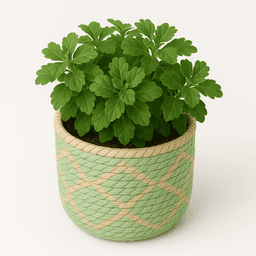 Handwoven Raffia Plant Pots – Natural & Sustainable Planters in Light Green thumbnail 1