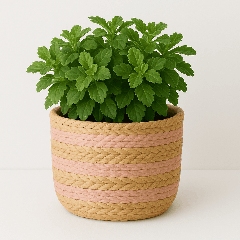 Handwoven Raffia Plant Pots – Natural & Sustainable Planters in Light Pink