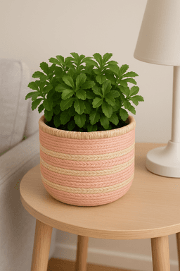 Handwoven Raffia Plant Pots – Natural & Sustainable Planters in Light Pink thumbnail 2